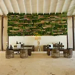 Viva V Samana By Wyndham, A Trademark Adults All Inclusive