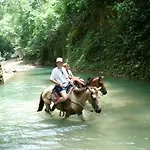 El Rincon De Abi