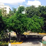 Duque De Wellington