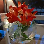 Via Emilia B&B Restaurante