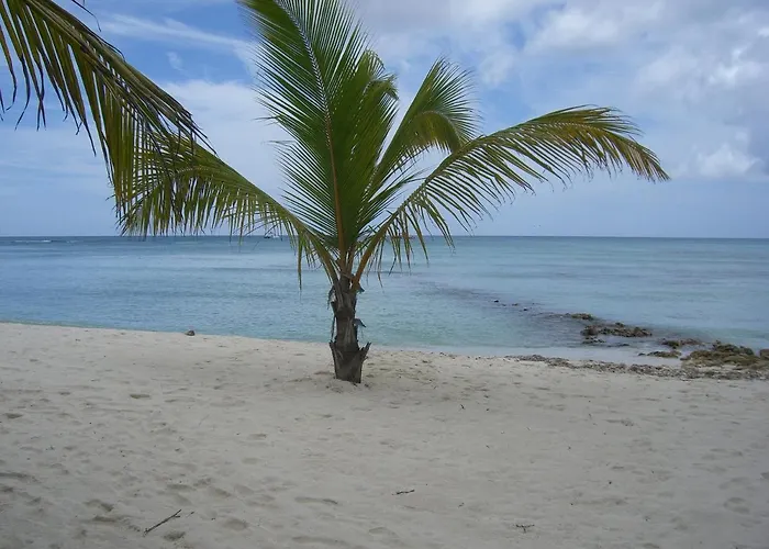 Hotel Bayahibe