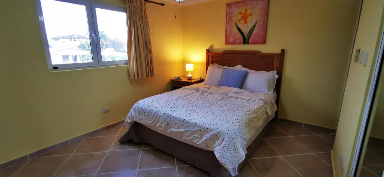 The Garden Apartment *