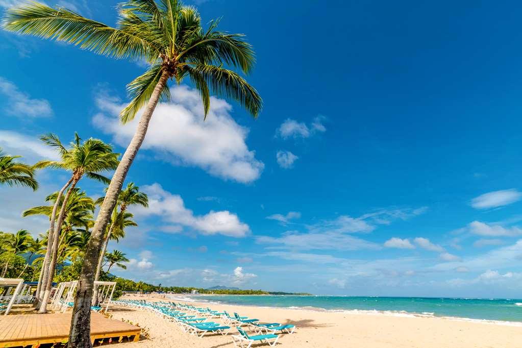 Emotions By Hodelpa Hotel Puerto Plata