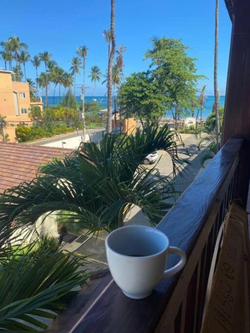 Terrenas Beachfront 2 Bedrooms With Pool