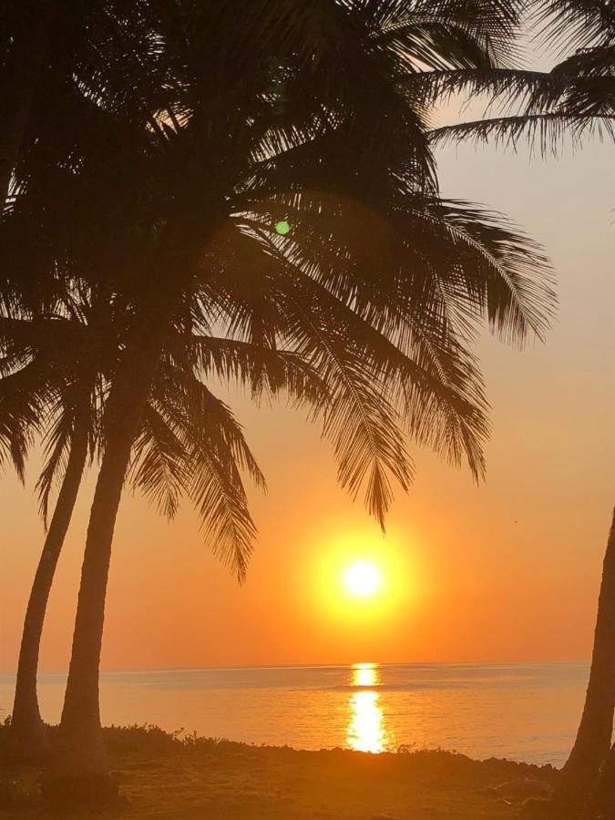 Bed & Breakfast Baoba Breeze Bed & Breakfast- Beachfront Paradise Cabrera
