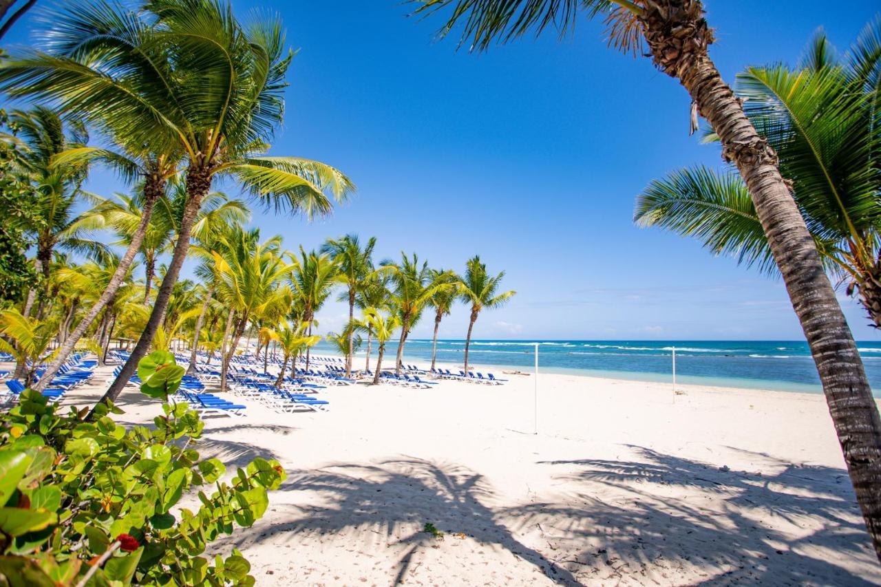 Coral Costa Caribe