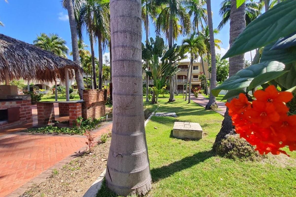Cortecito Bavaro Punta Cana