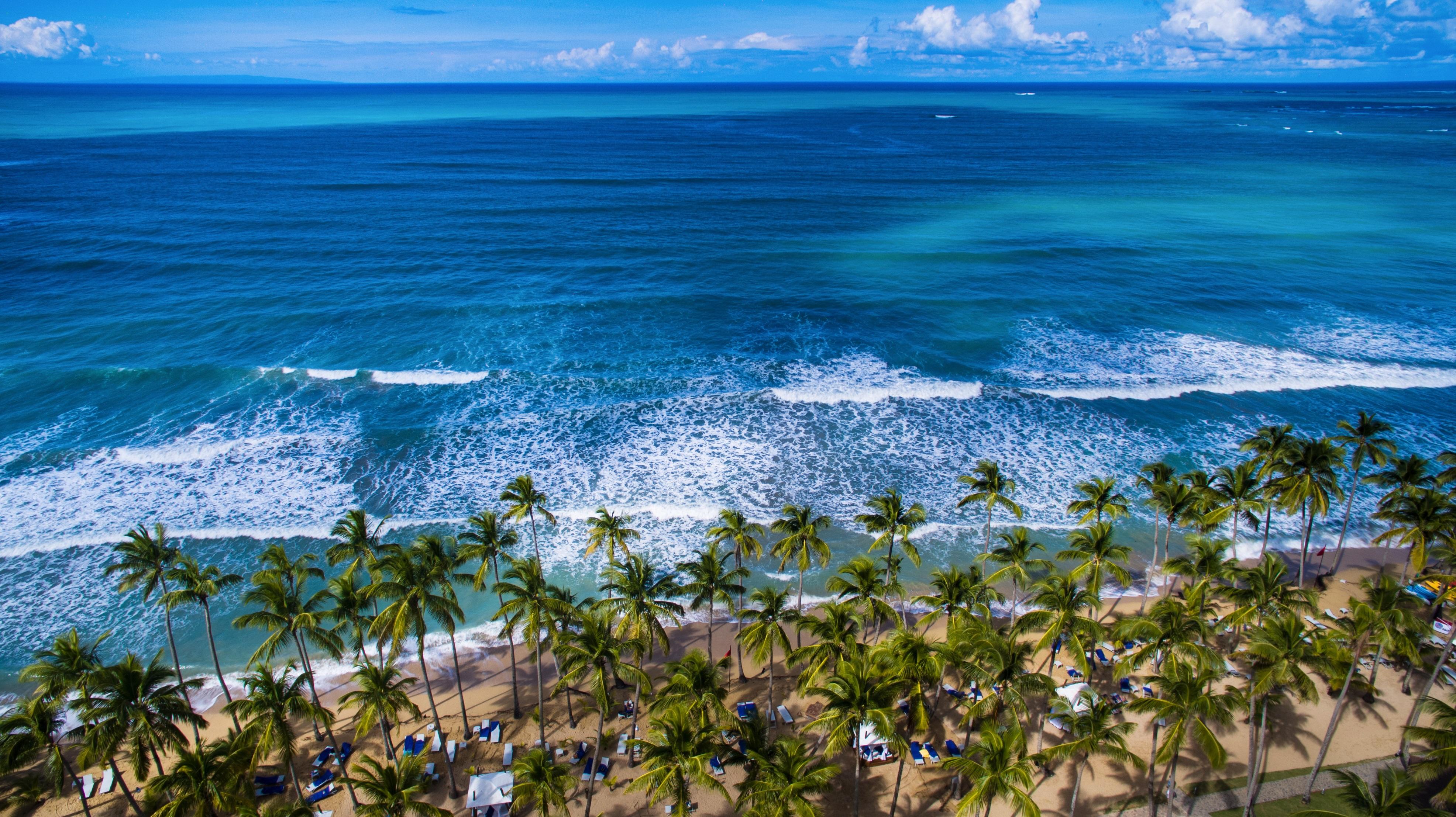 Viva V Samana By Wyndham, A Trademark Adults 5*