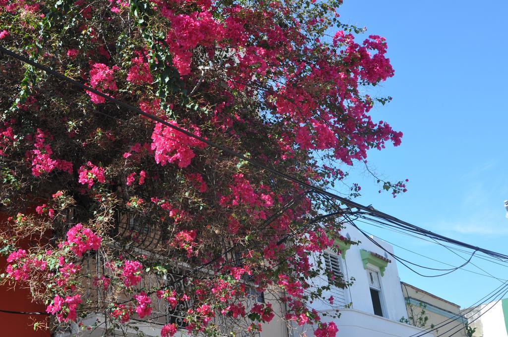 Hotel Dona Elvira Boutique Santo Domingo