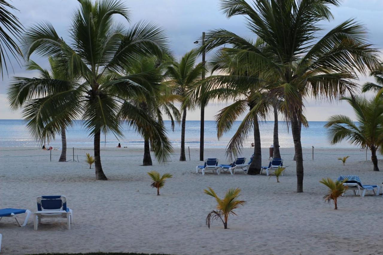 Your Little Paradise - *