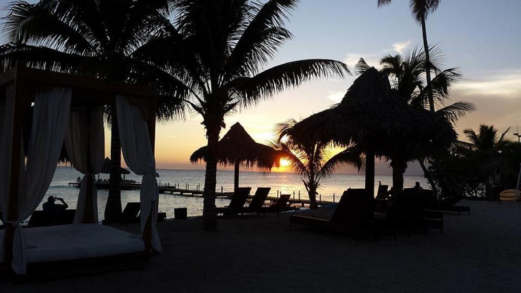 Cadaques Caribe Pez 103 * Bayahibe