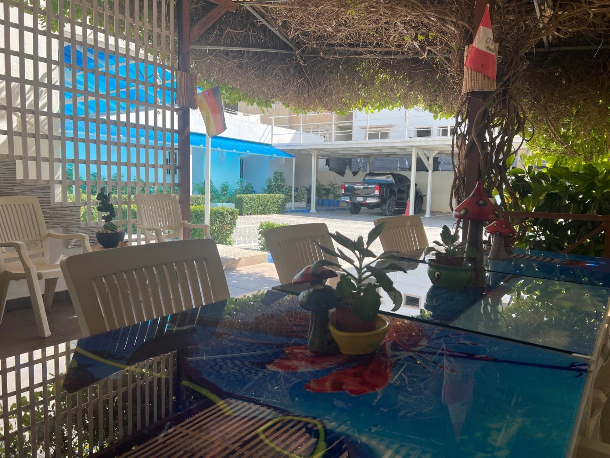 Hostel El Pulpo, *