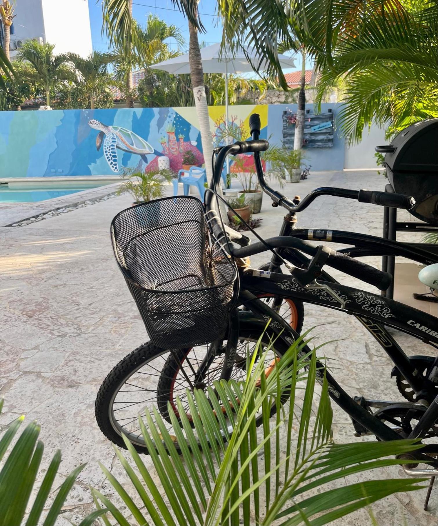 Luna Bayahibe