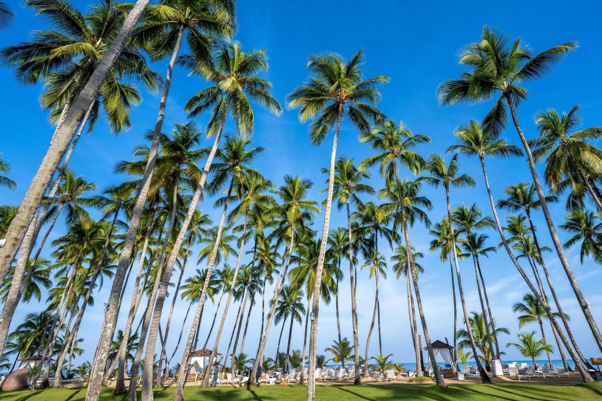 Viva V Samana By Wyndham, A Trademark Adults 5* Las Terrenas