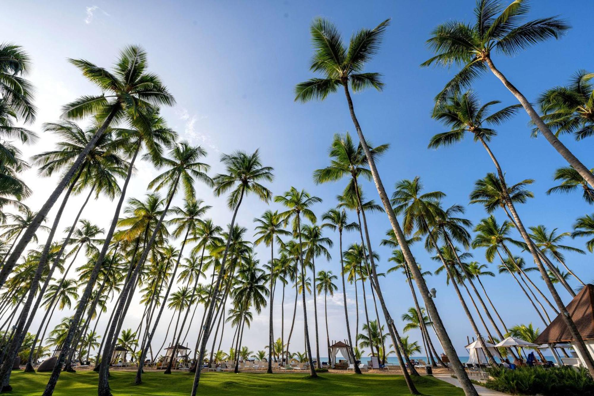 Resort Viva V Samana By Wyndham, A Trademark Adults Las Terrenas