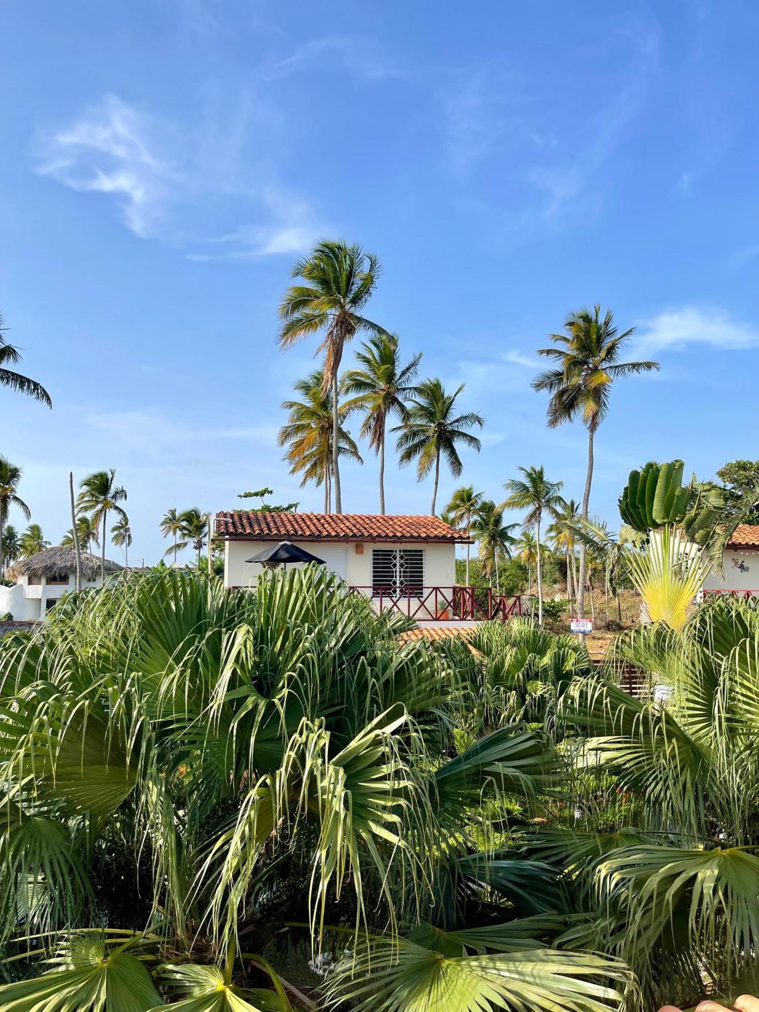 Guest house 21 Palms 3*