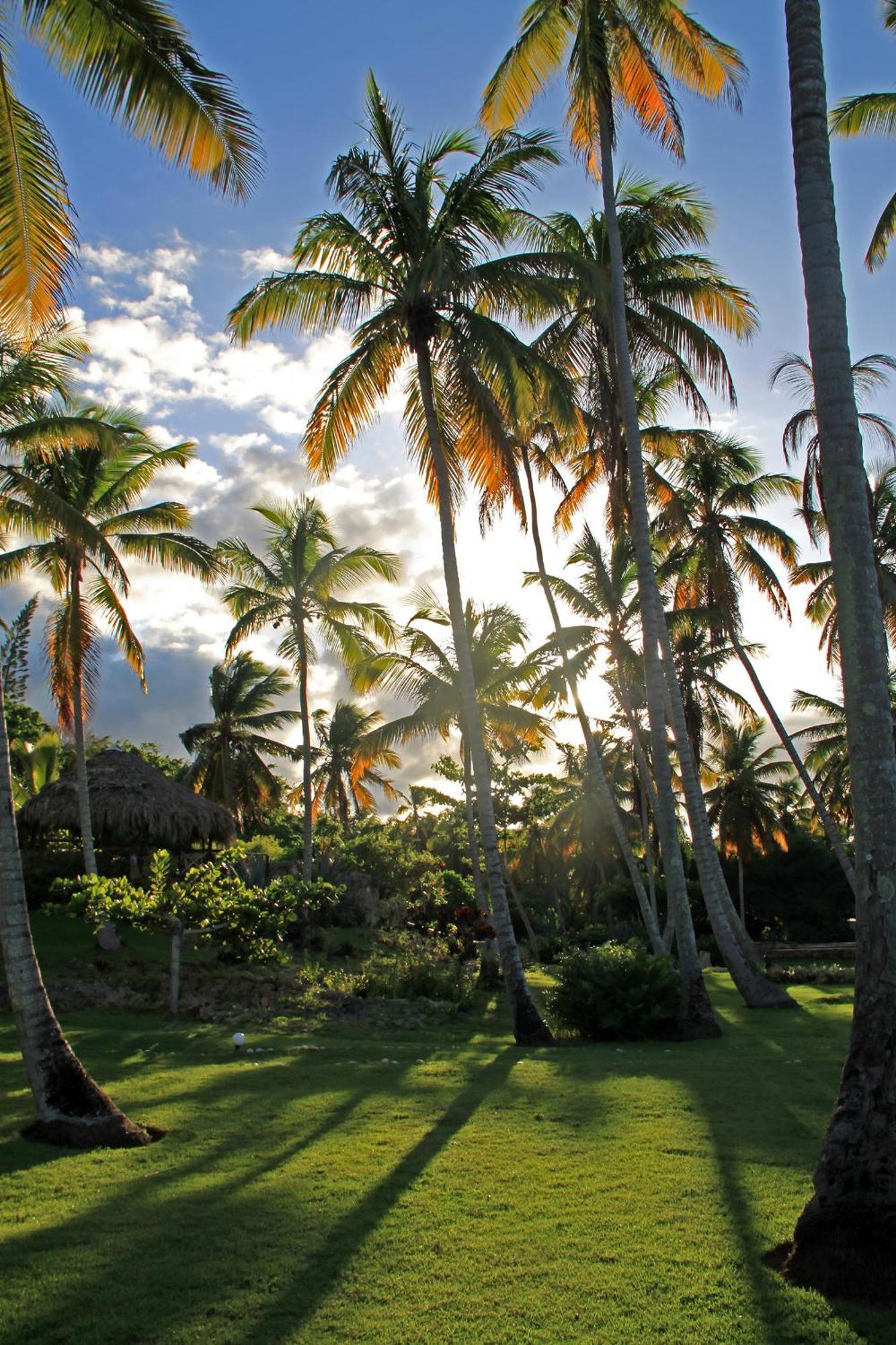 Todoblanco, Galeras, Samana Hotel Las Galeras