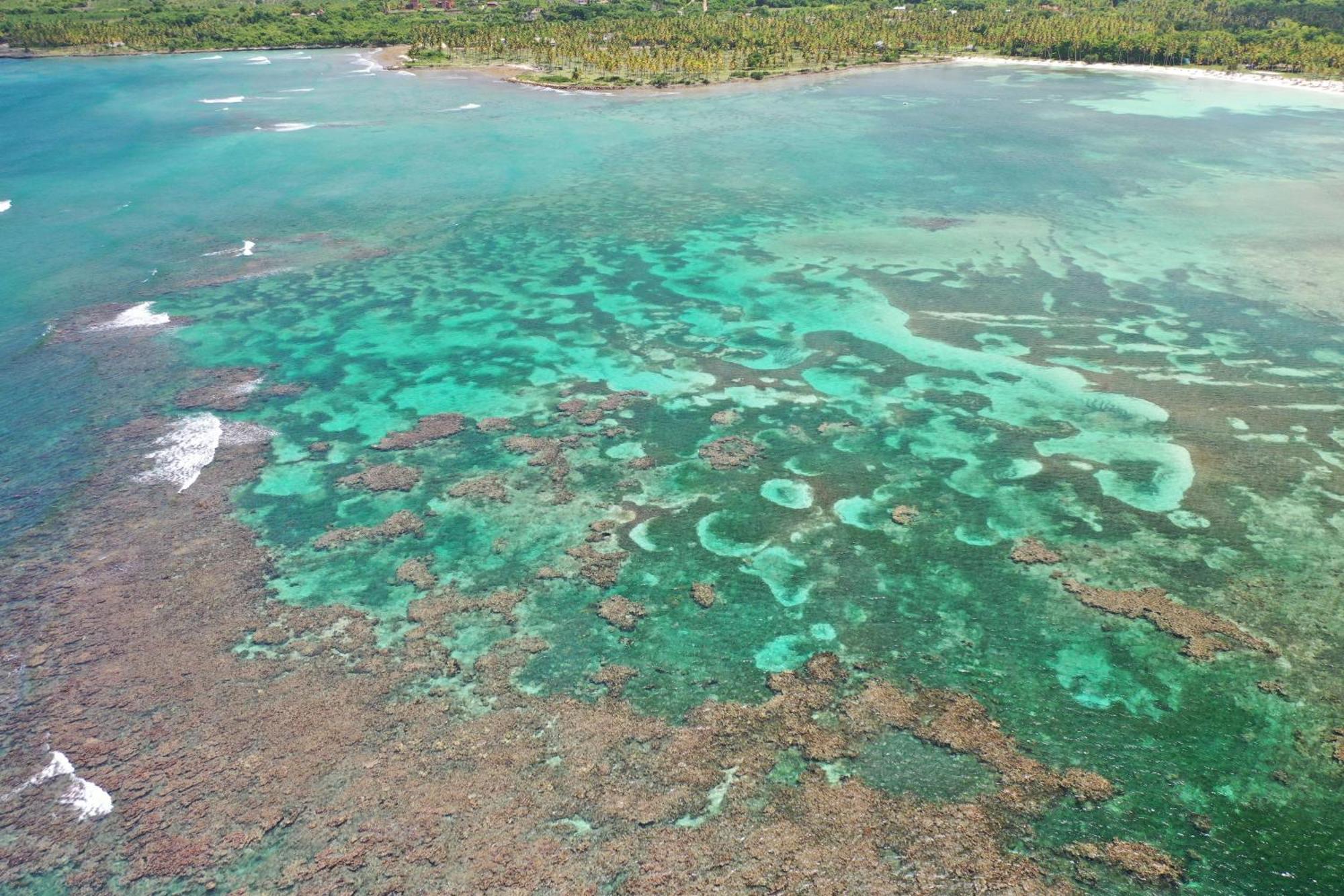 Todoblanco, Galeras, Samana Hotel Las Galeras