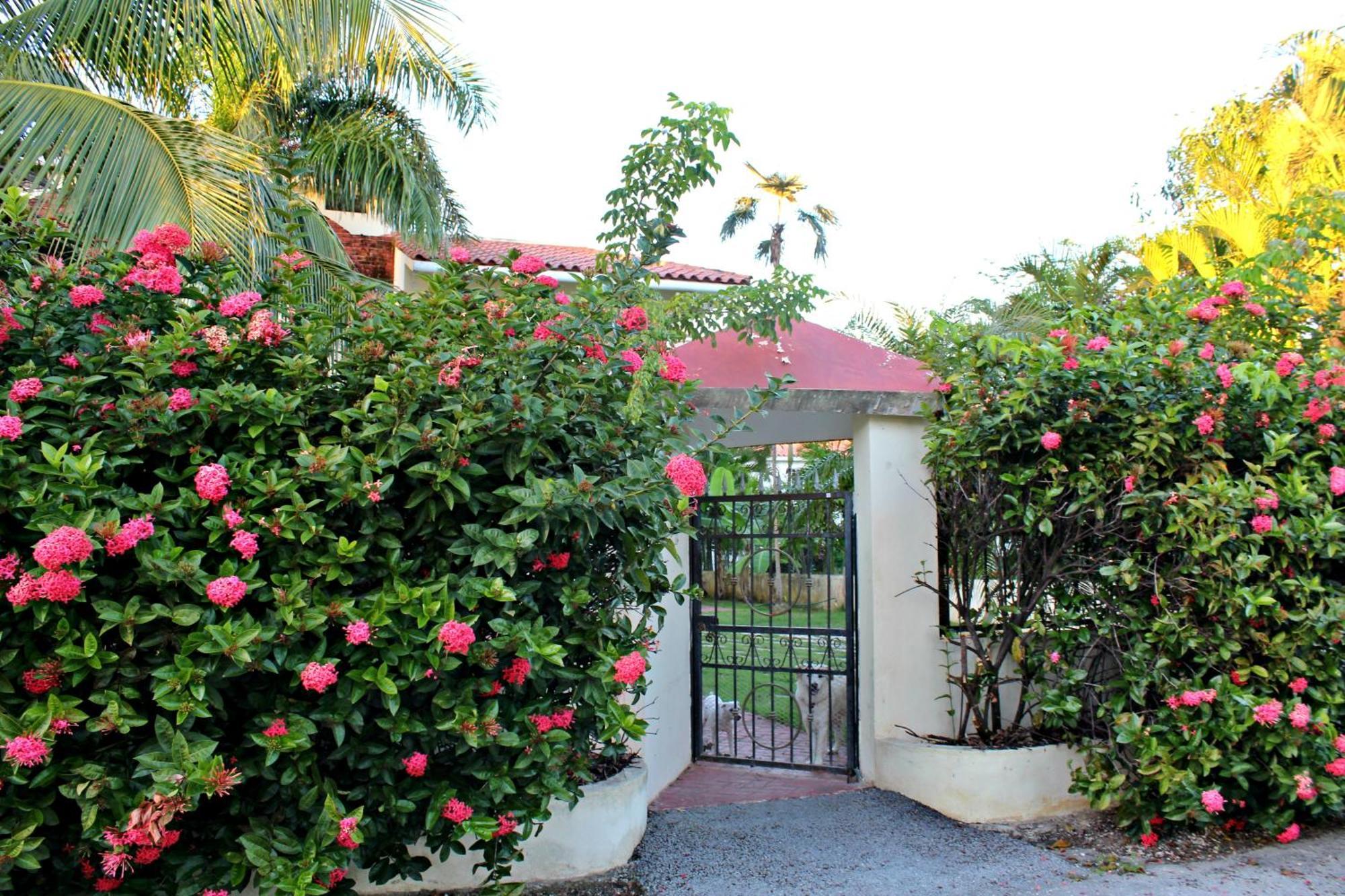 Homestay Sweet - Q15a Punta Cana
