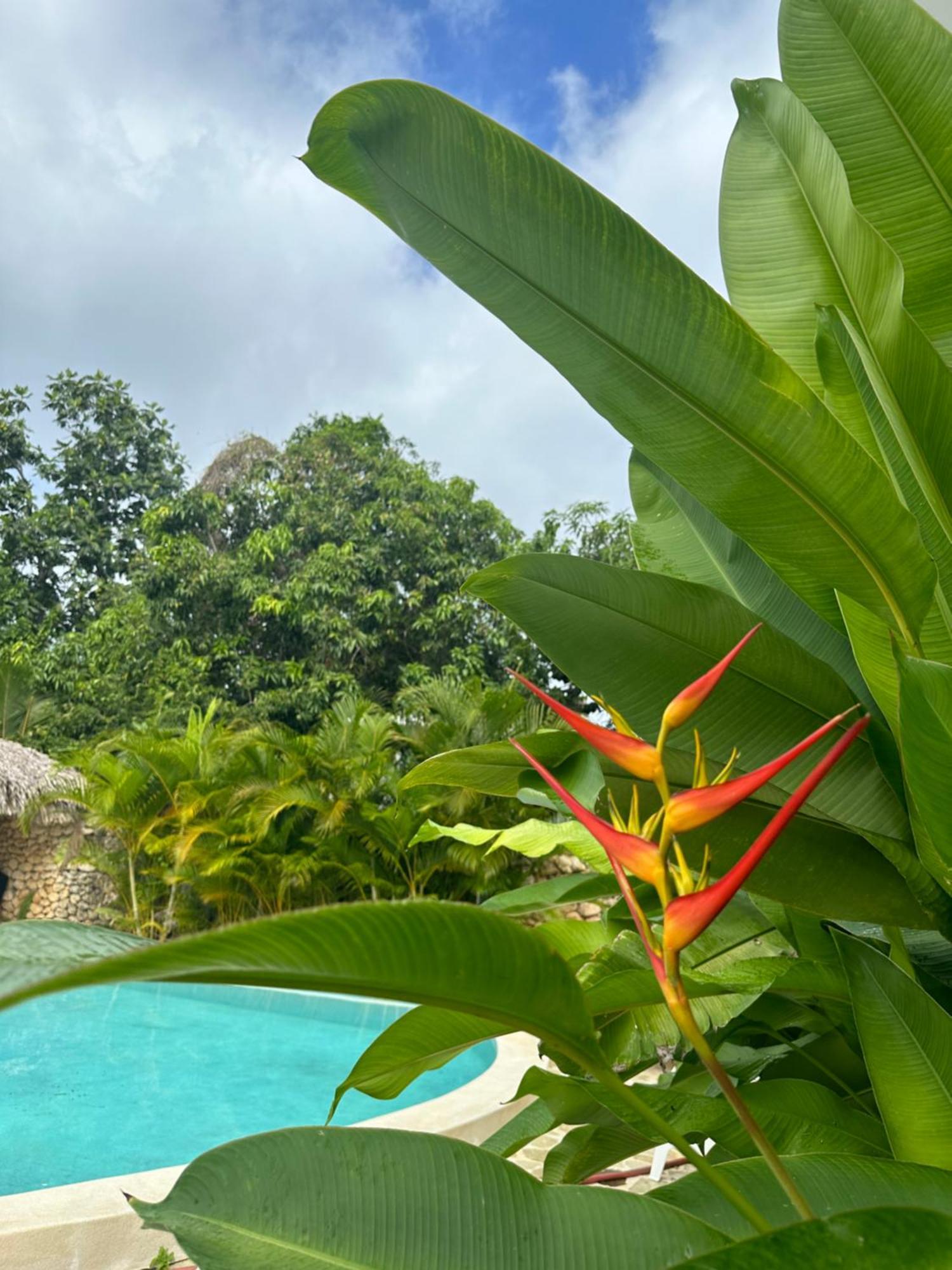 El Rincon De Abi Aparthotel 3*