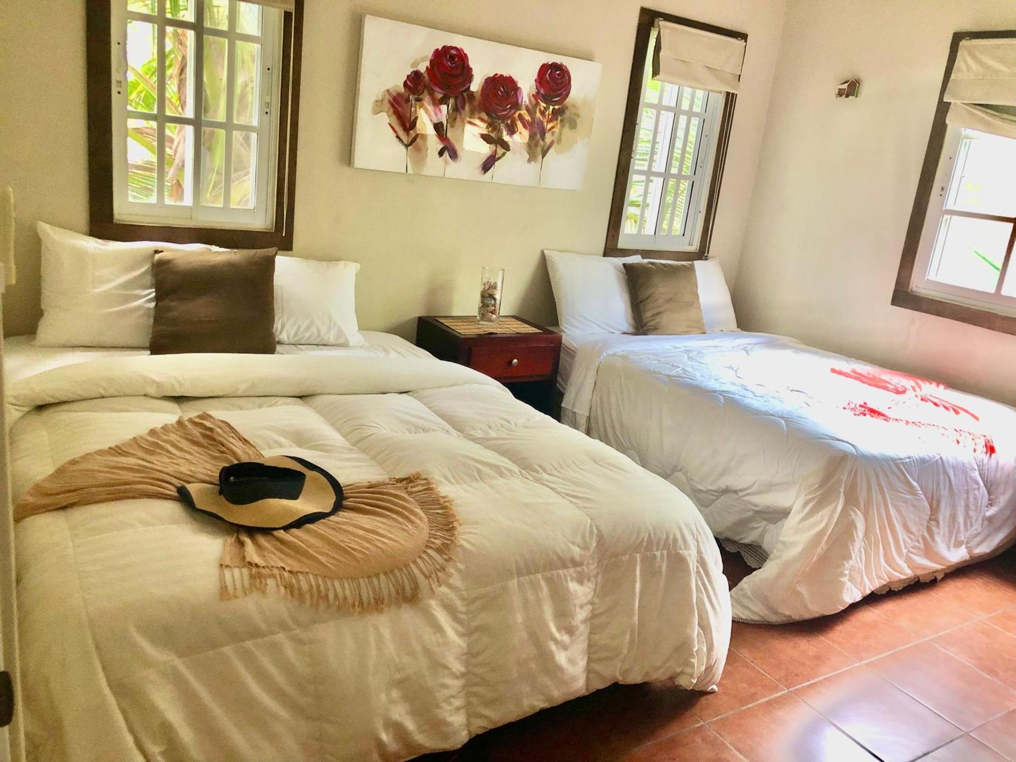 Baoba Breeze Bed & Breakfast- Beachfront Paradise Bed & Breakfast Cabrera
