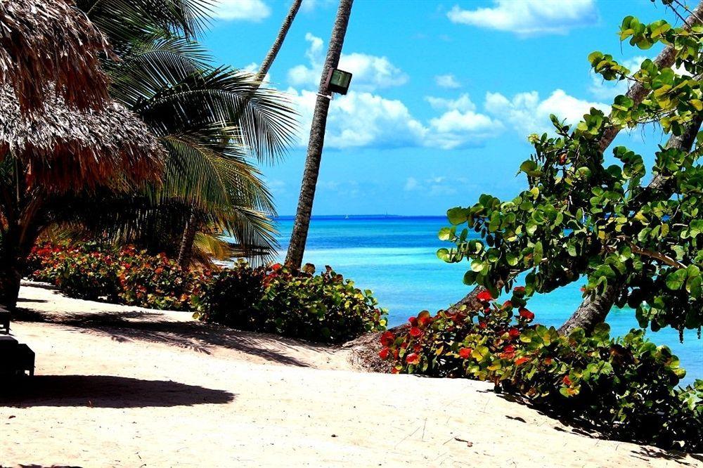 Elke Bayahibe