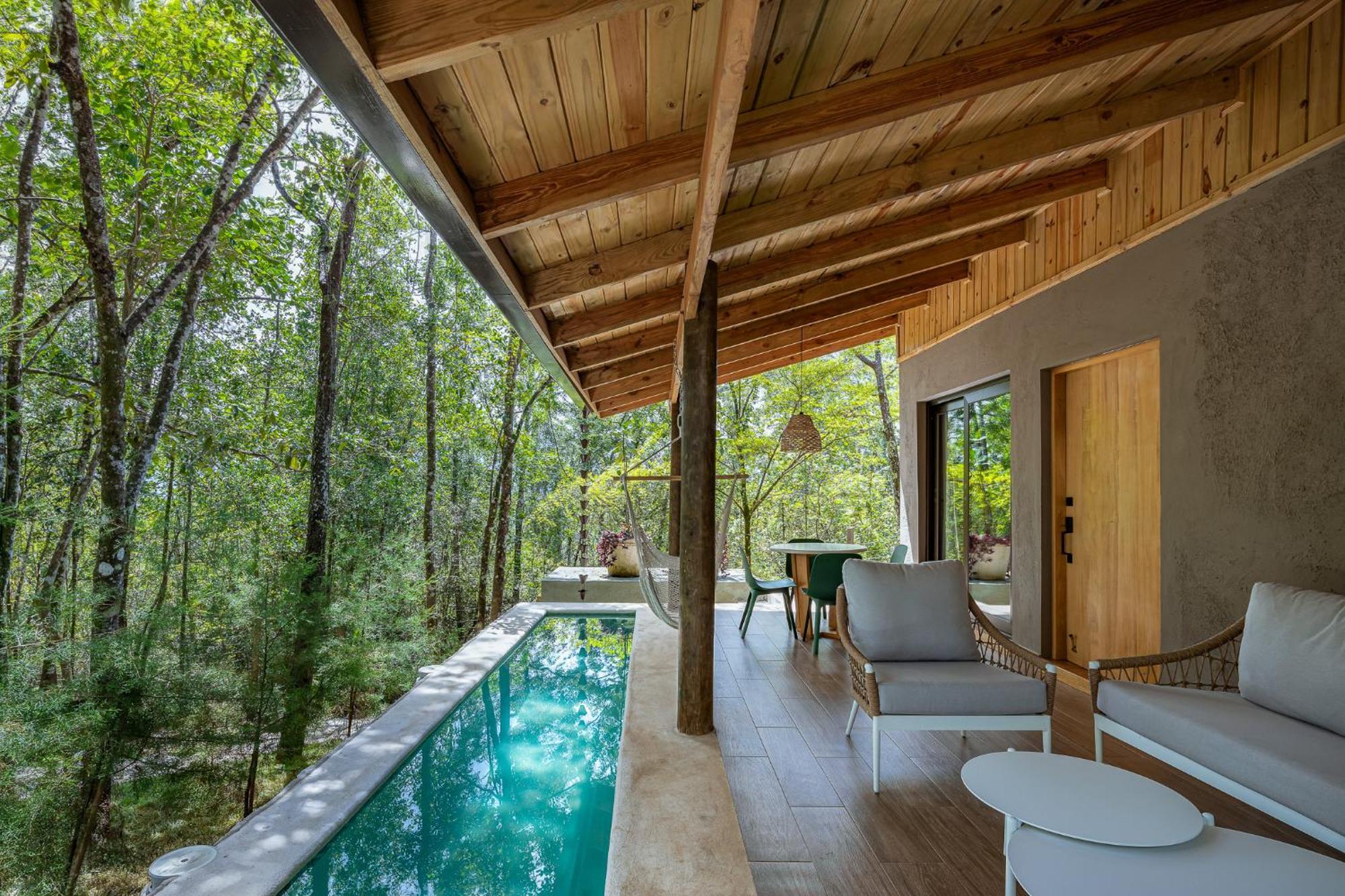 The Grand Forest * Jarabacoa