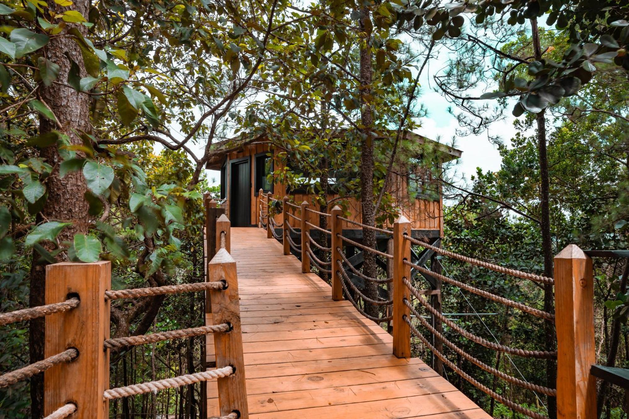 The Grand Forest Villa *