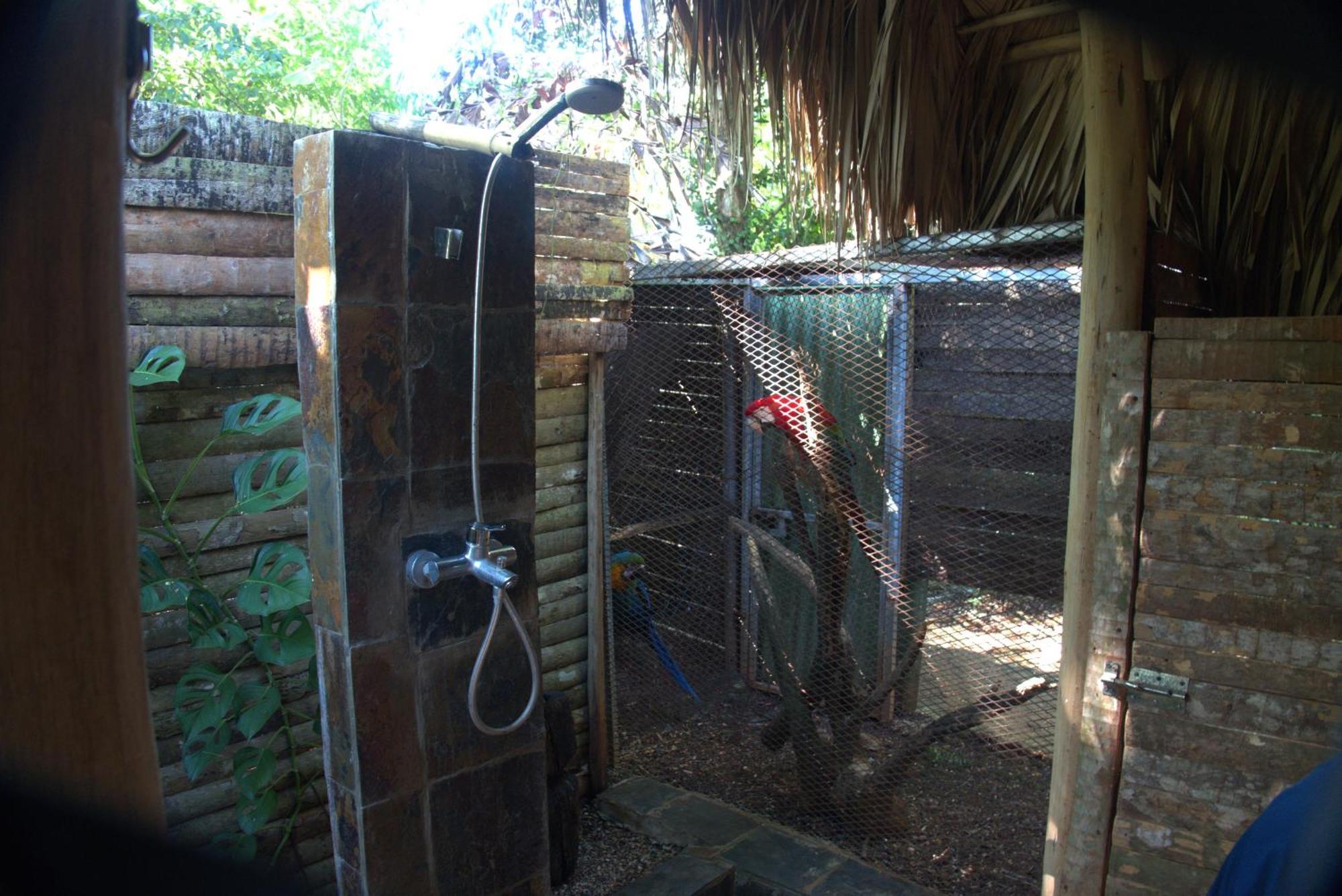 Bed & Breakfast Casa El Paraiso, Eco *