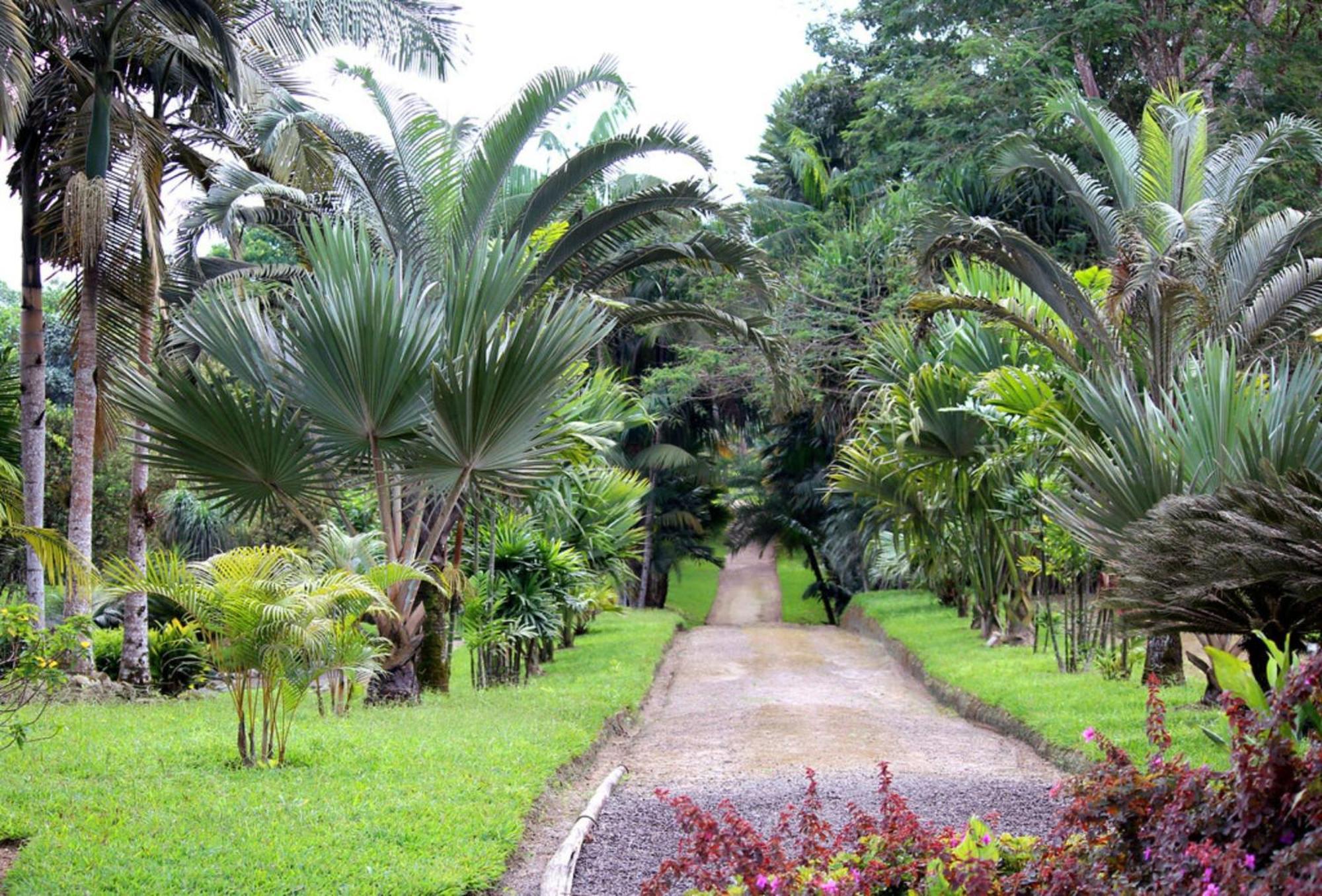 Tropical Island La Viva