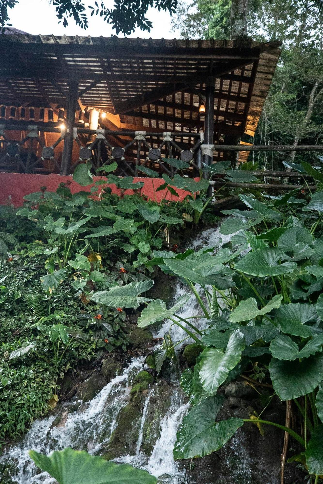 Platon Hotel Barahona