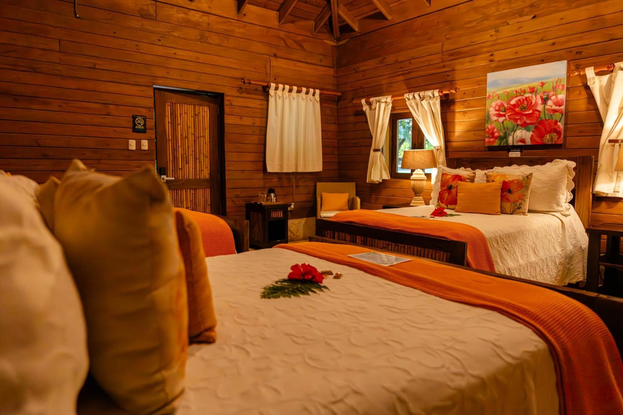 Hotel Platon 3*