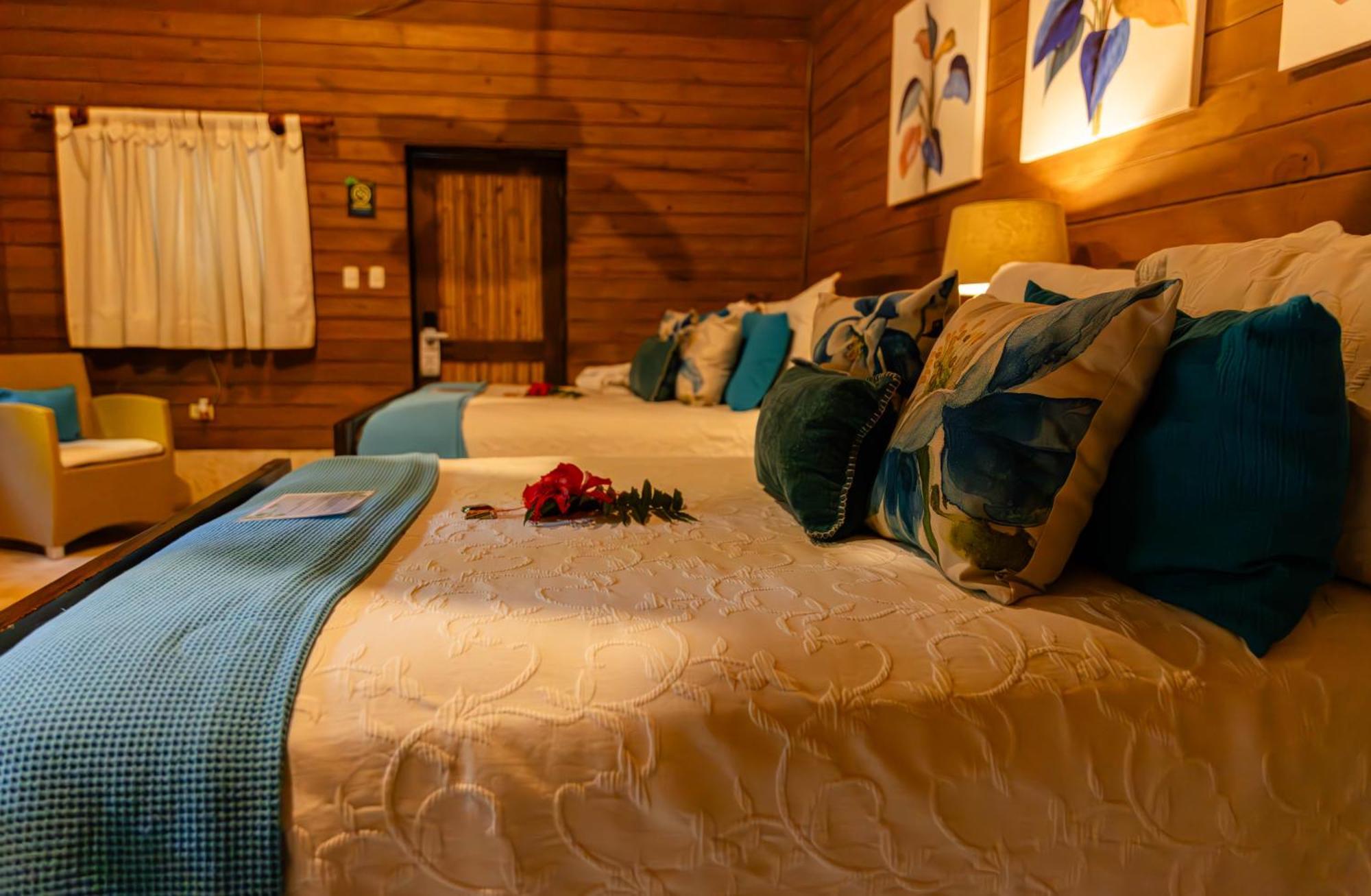 Hotel Platon 3*