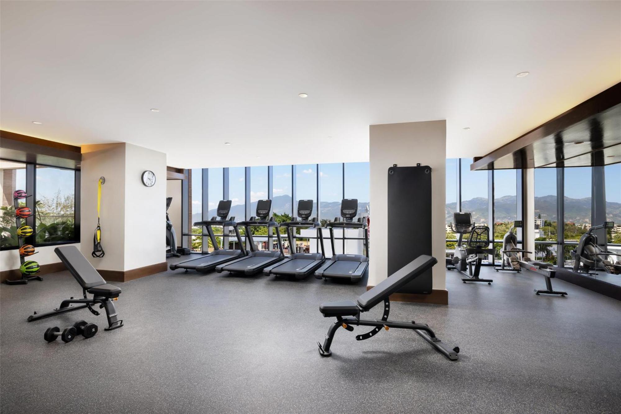 Santiago, Curio Collection By Hilton