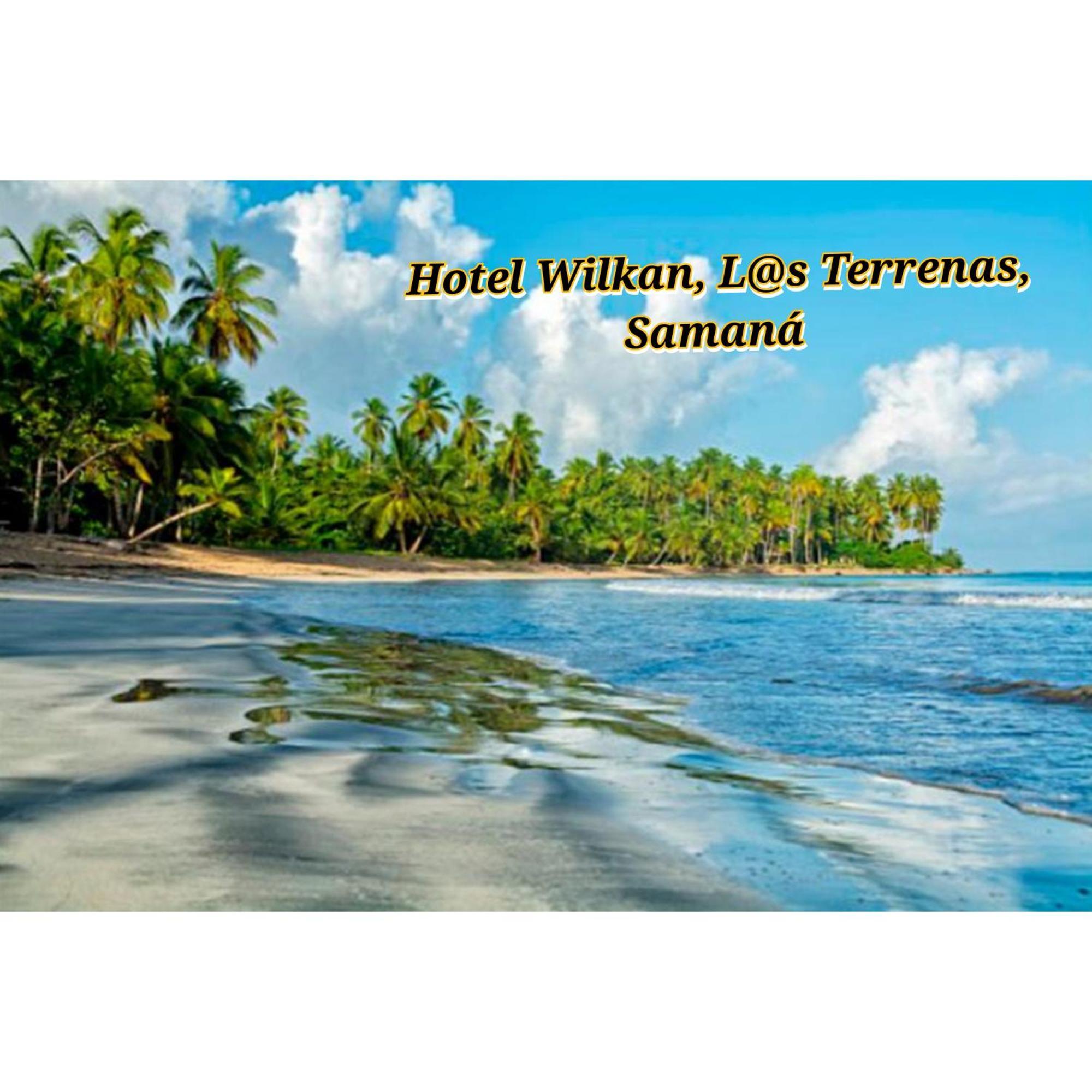 Wilkan Las Terrenas
