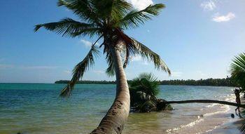 Cocos * Bavaro
