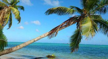 Lodge Cocos *