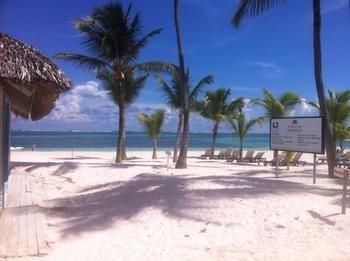 Cocos *