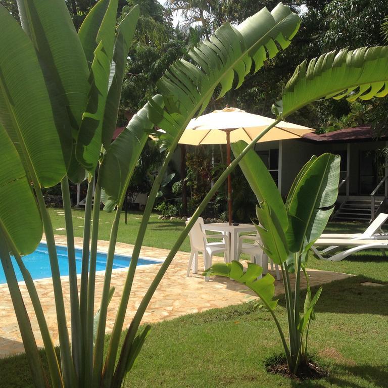 Chalet Natura Village *