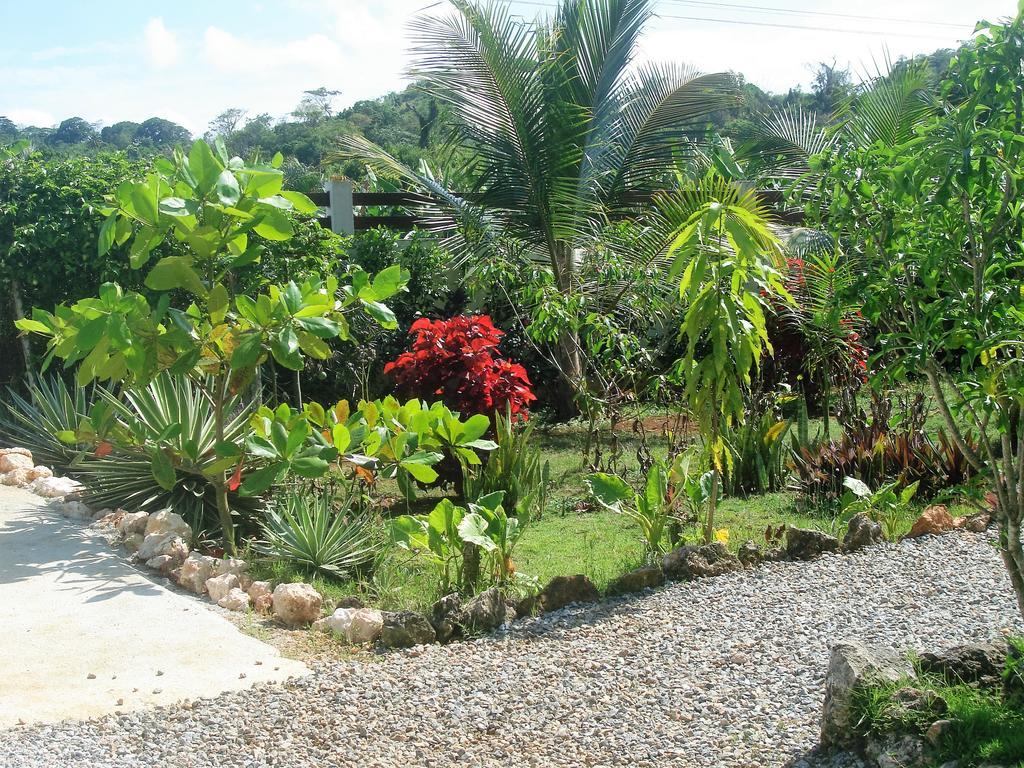Bed & Breakfast La Casa De Sergio Y Cristina 3*