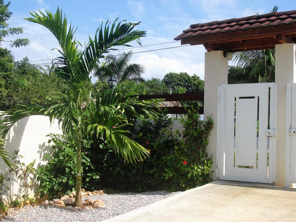 La Casa De Sergio Y Cristina 3* Las Terrenas