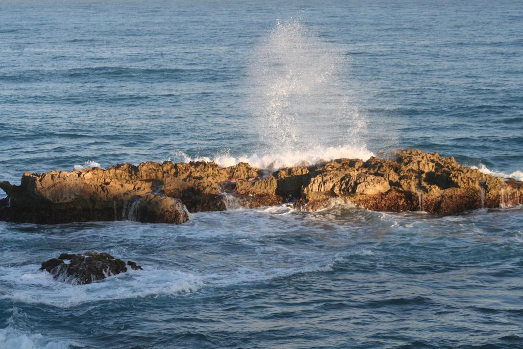 Inn Panoramica La Cienaga (Barahona)