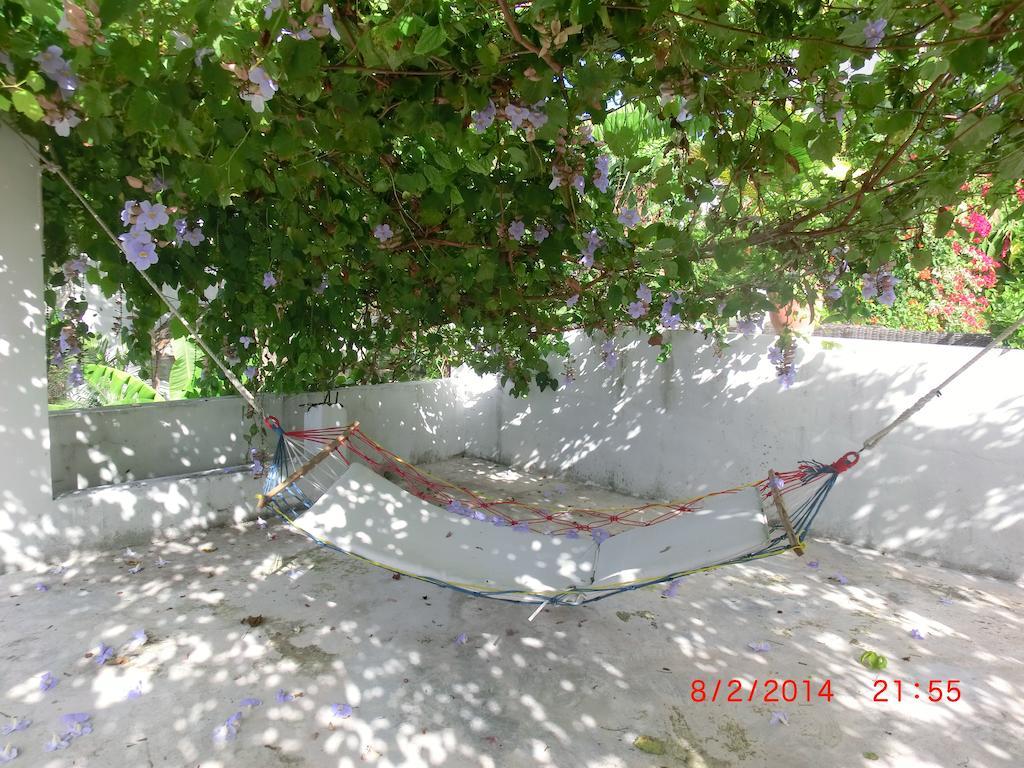Guest house Chambres D'hotes La Romana