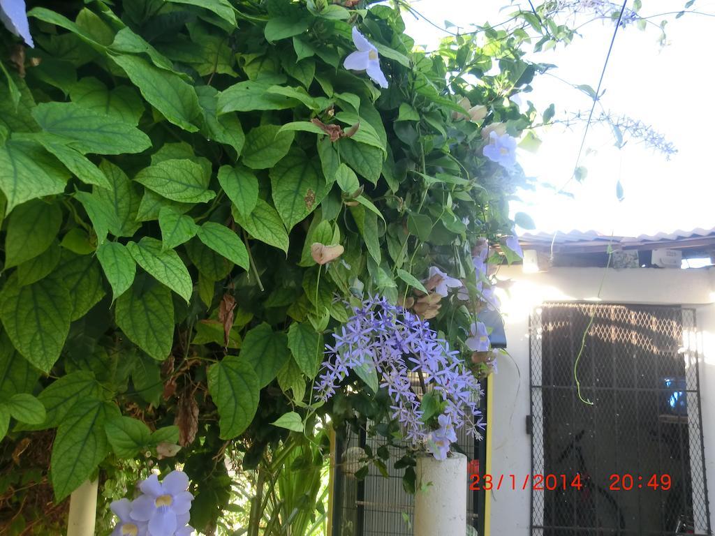 Guest house Chambres D'hotes *