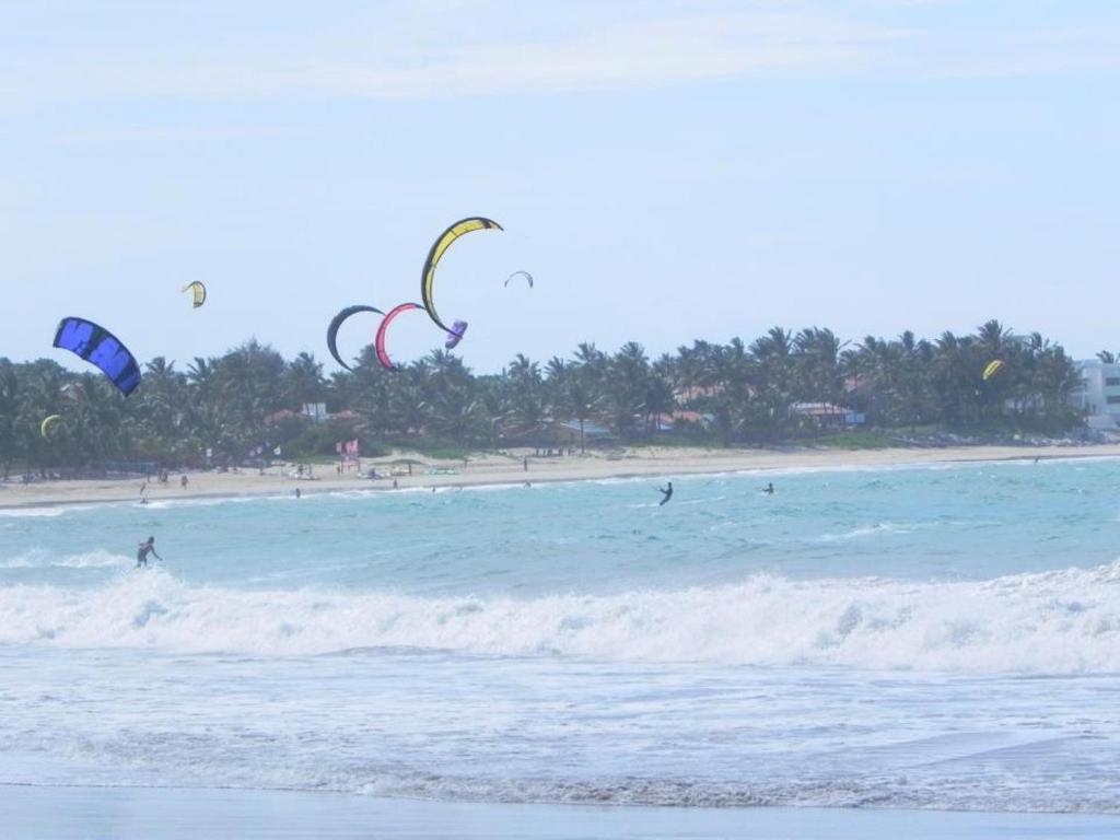 Albatros 2* Cabarete