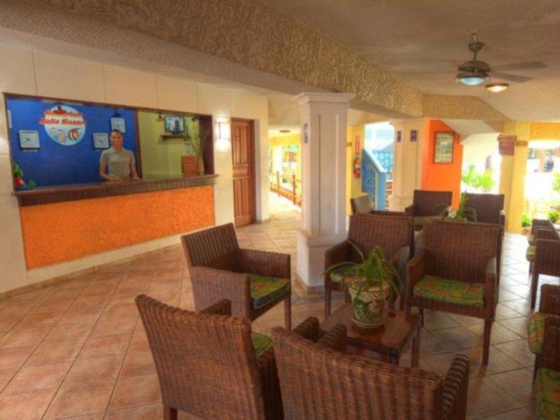 Hotel Acuarium La Viva