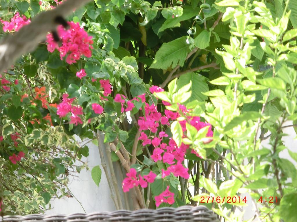 Guest house Chambres D'hotes La Romana