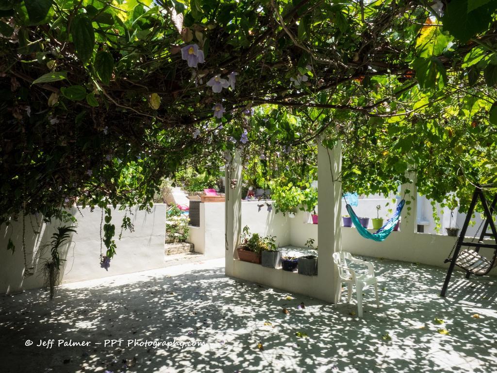 Guest house Chambres D'hotes La Romana
