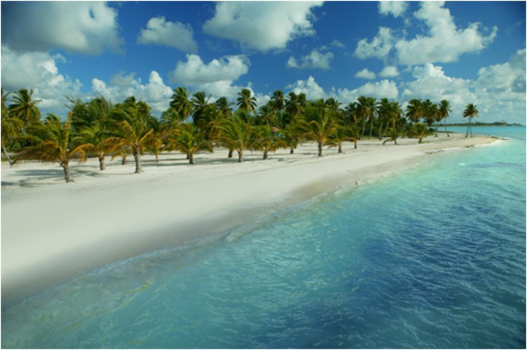Del Mar By Joy - Intimate Ocean Front Retreat - Resort Cap Cana