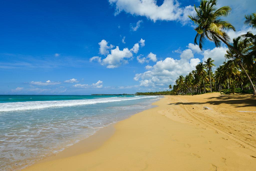 Aligio Beachfront Paradise Las Terrenas